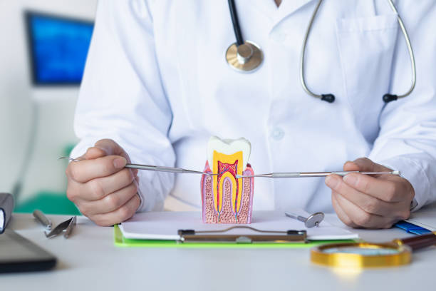 Best Emergency Wisdom Teeth Removal in Mendota, IL